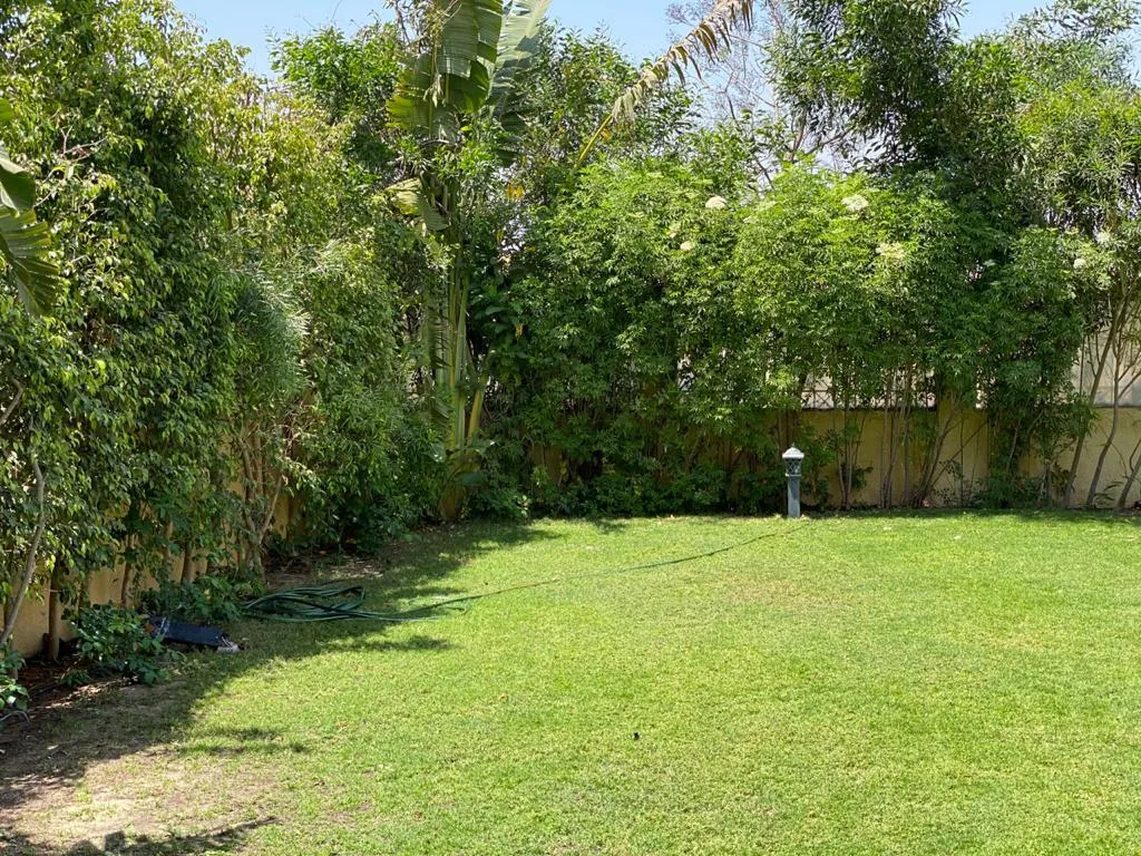 Gallery Image 15