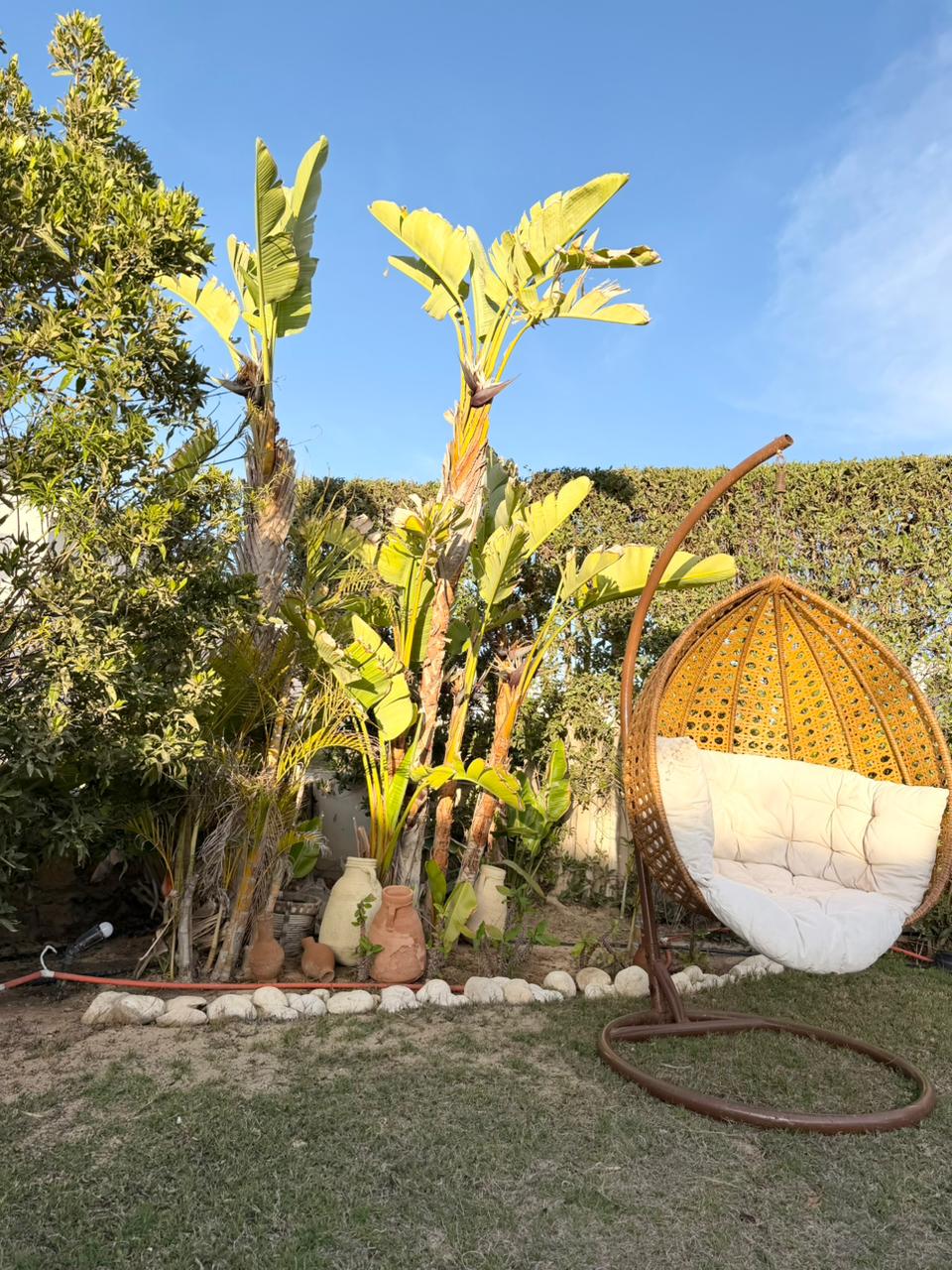 Gallery Image 14