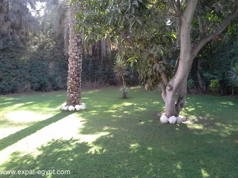 Gallery Image 43
