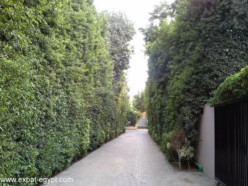 Gallery Image 44