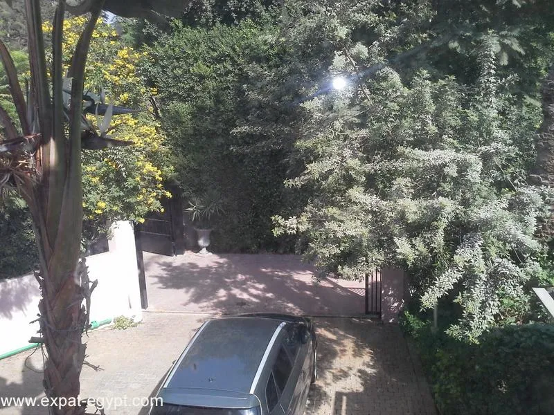 Gallery Image 57