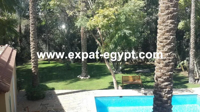 Gallery Image 29