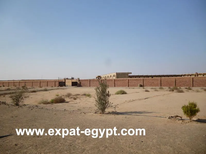 Land for Rent in 10th of Ramadan