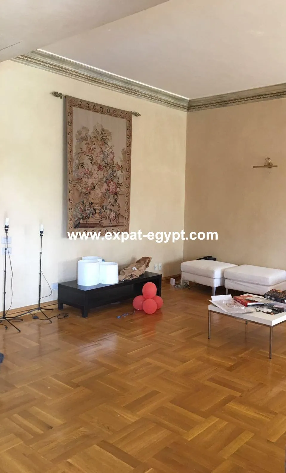 Twin House for Rent in Palm Hills, October City 