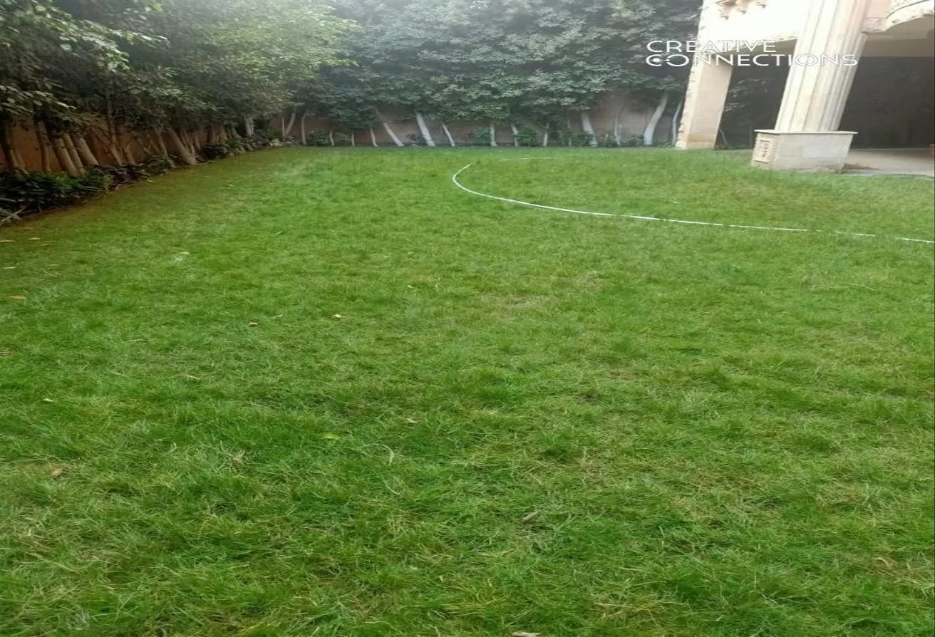 Gallery Image 15