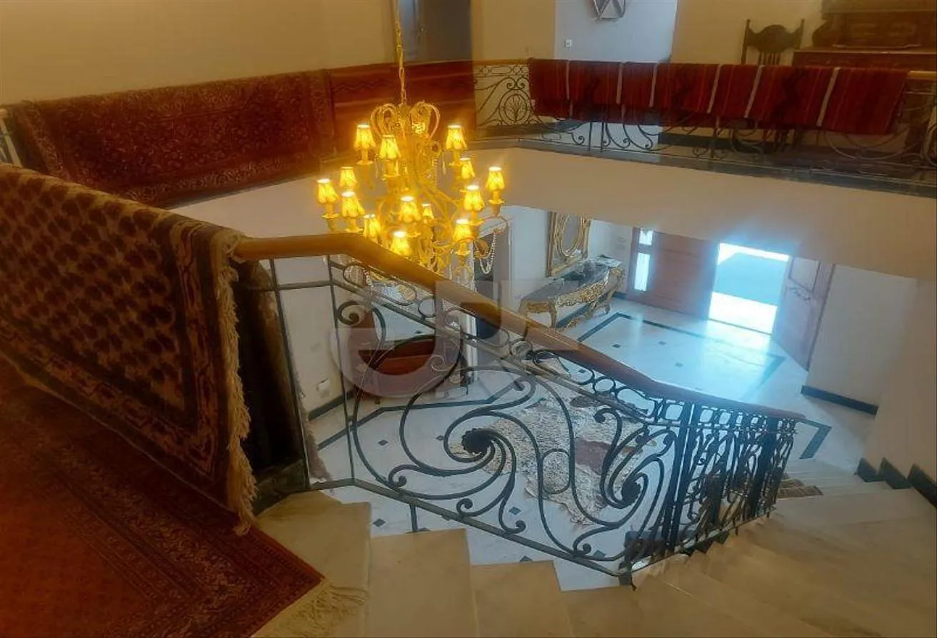 Gallery Image 11
