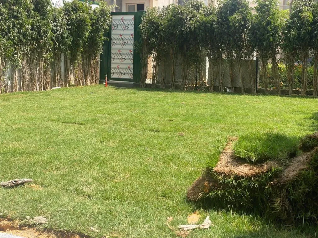Rent in Galleria Moon Valley: شقه 135 متر للايجار كمبوند جاليريا مون فالى س لوكس