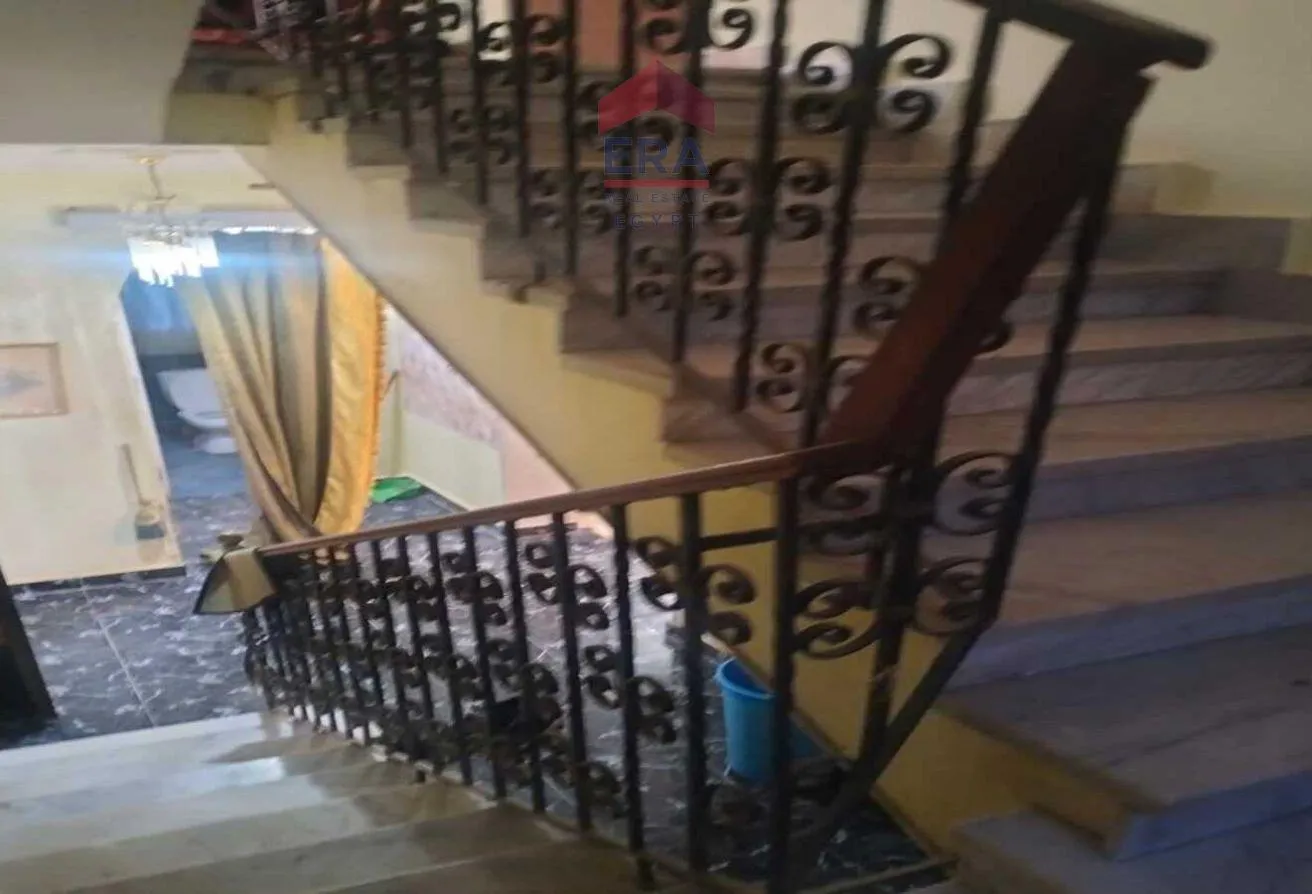 Gallery Image 11