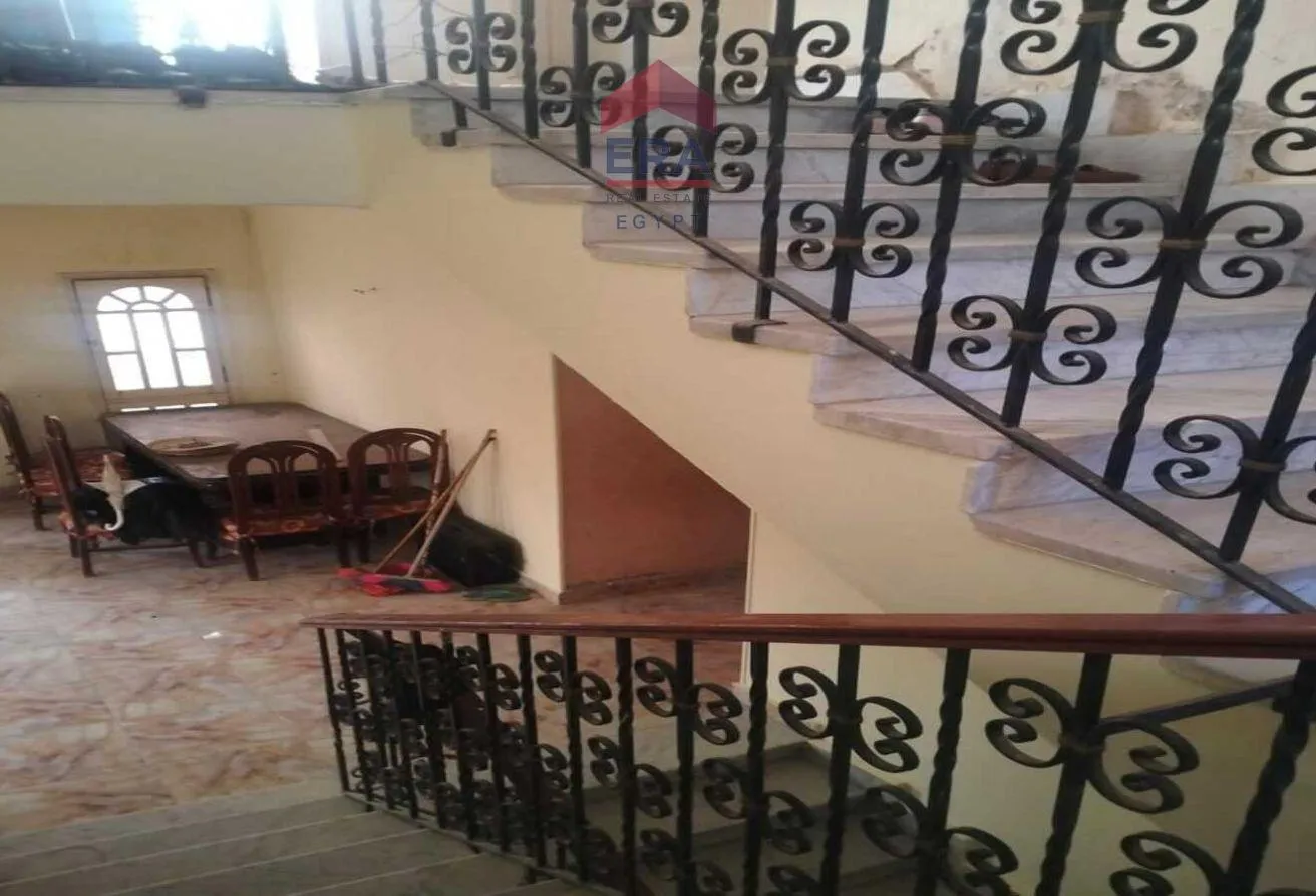 Gallery Image 8