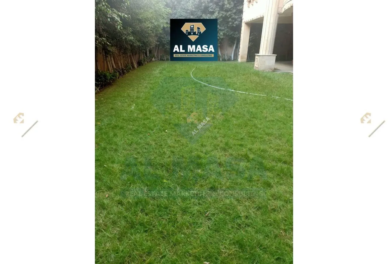 Gallery Image 13