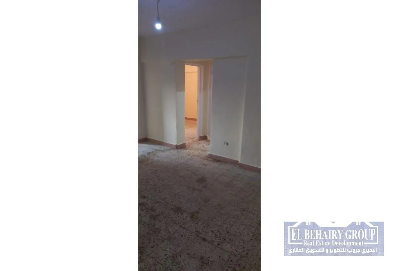 Rent in The 1st Settlement: شقة للايجار في التجمع الاول