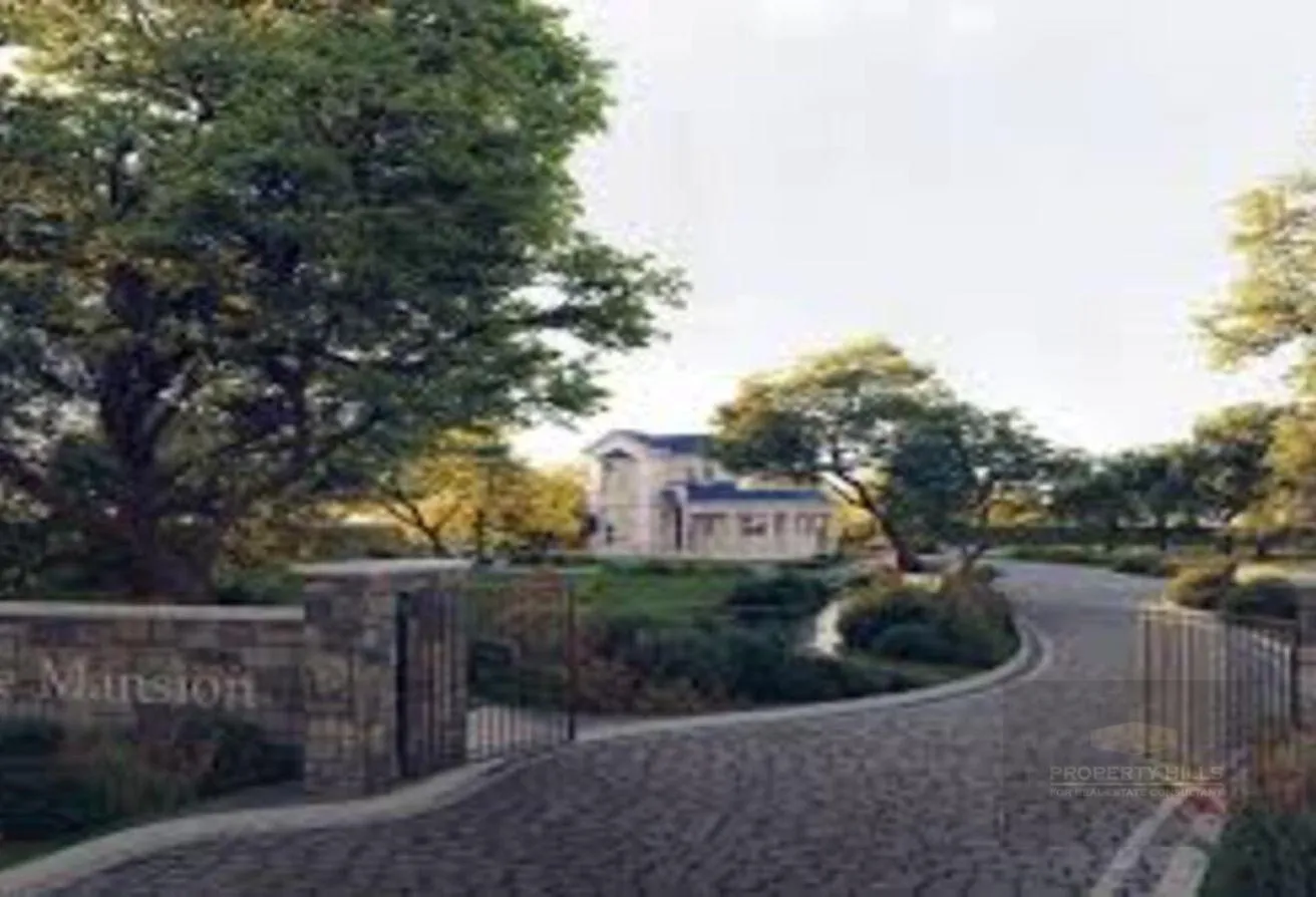 Gallery Image 8