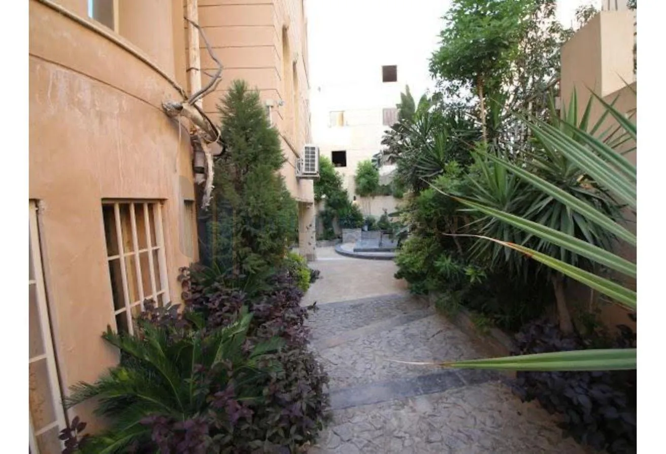 Gallery Image 9