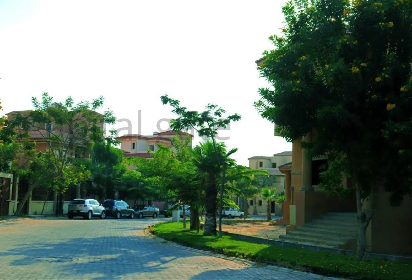 Gallery Image 7