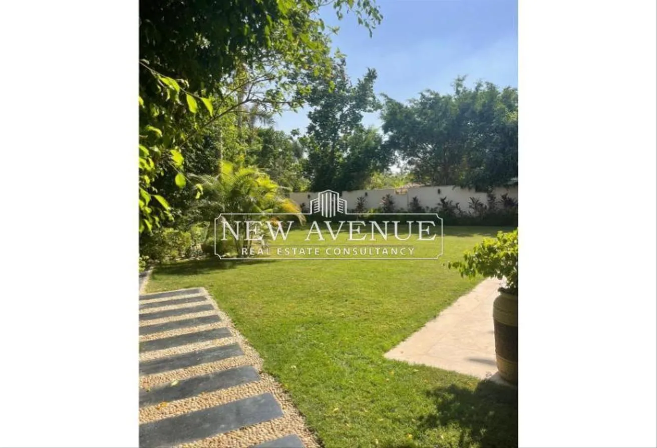 Gallery Image 15