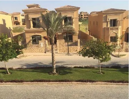 رويال فالى الشيخ زايد