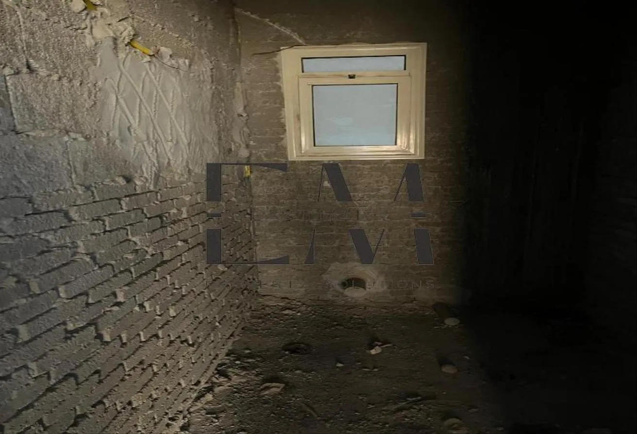 Gallery Image 7