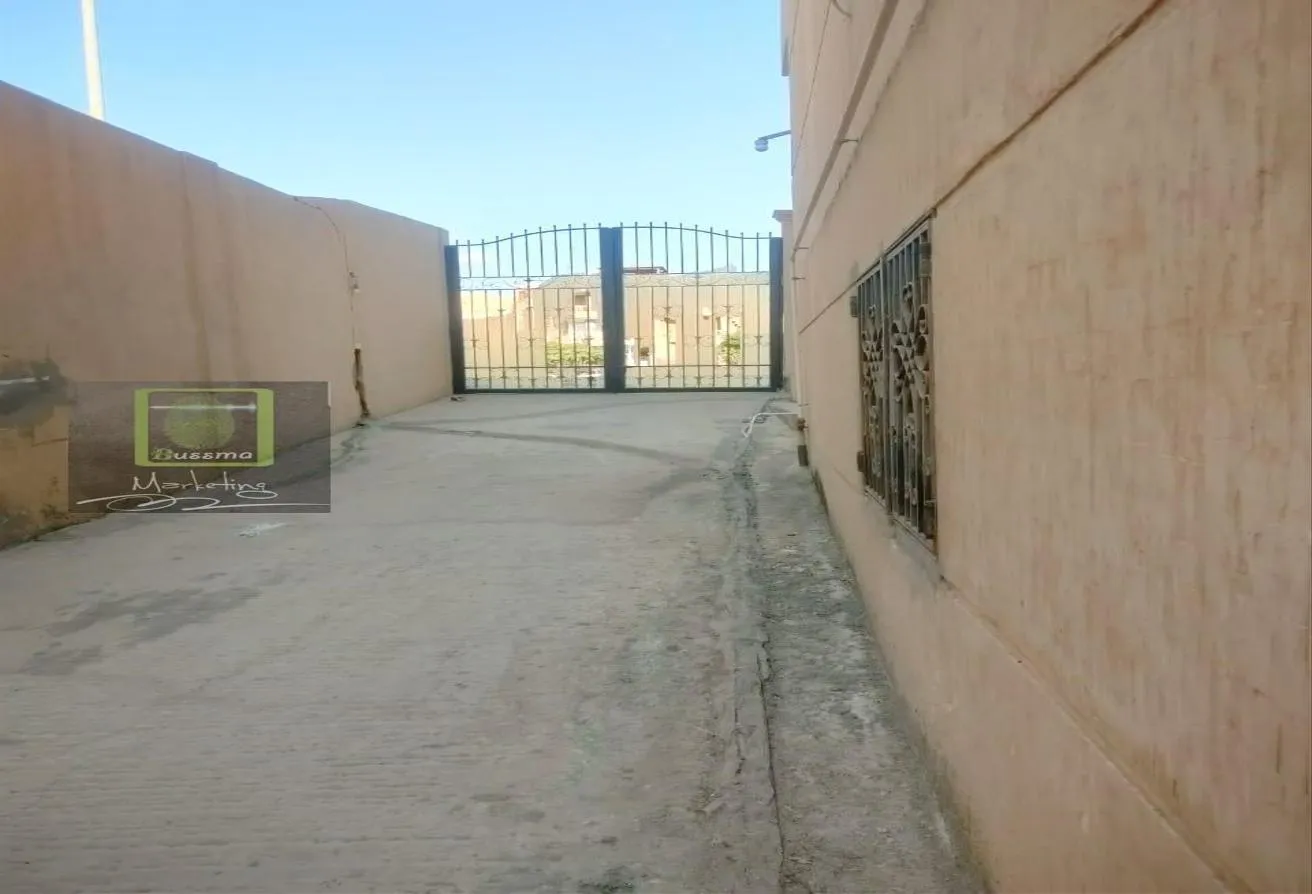 Rent in 8th District: روف باسانسير للايجار داخل قصر الحى الثامن بتراس