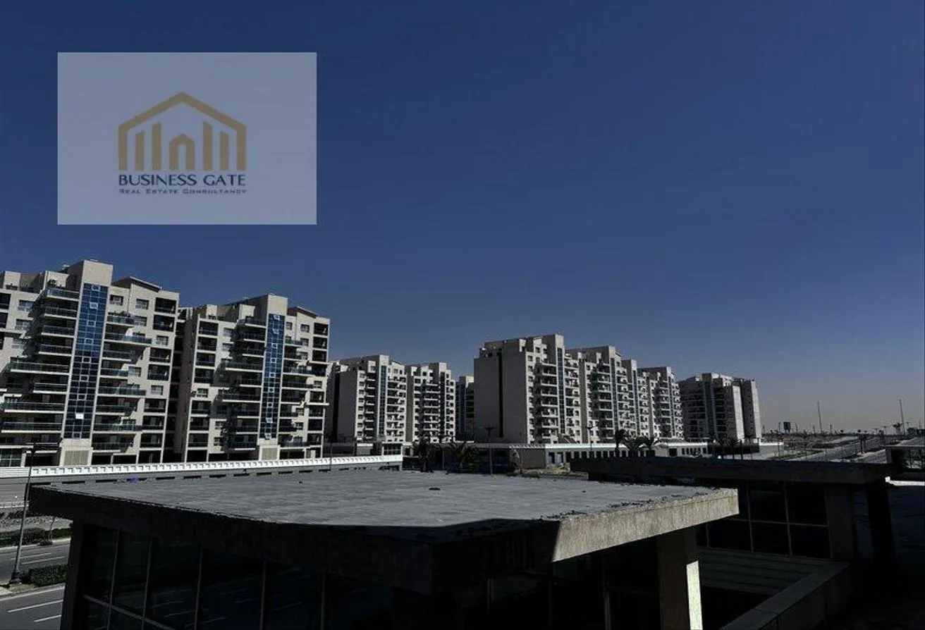 Gallery Image 10