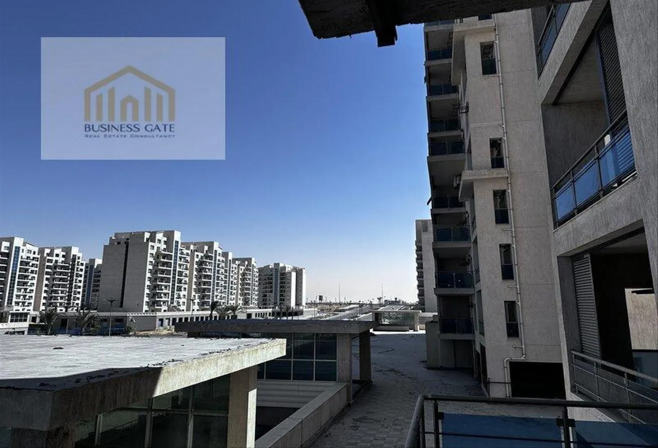 Gallery Image 11