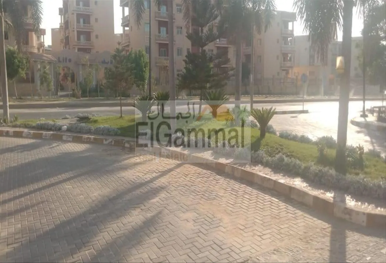Gallery Image 17