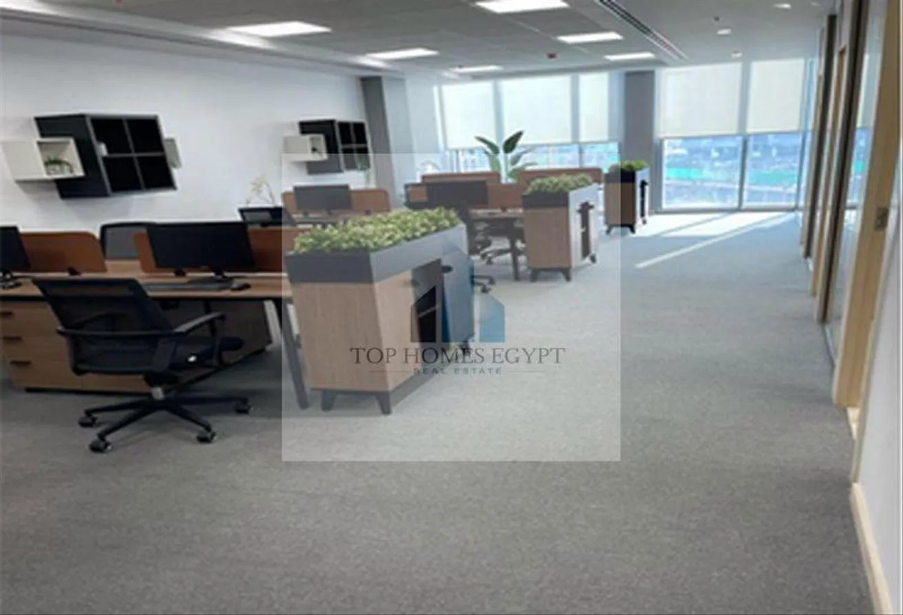 Gallery Image 7