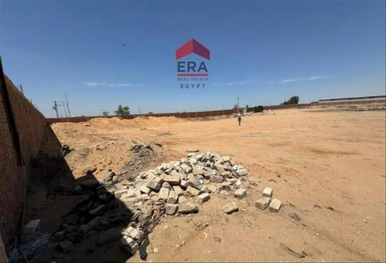 Rent in Belbeis   10th of Ramadan Road: Land| for rent| in Belbes