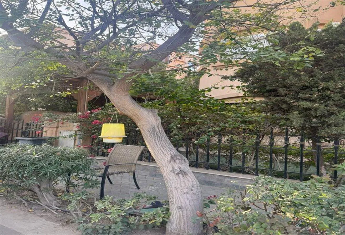 Sale in Dara Gardens: For Sale , Standalone Villa In Dara Gardens 420 m