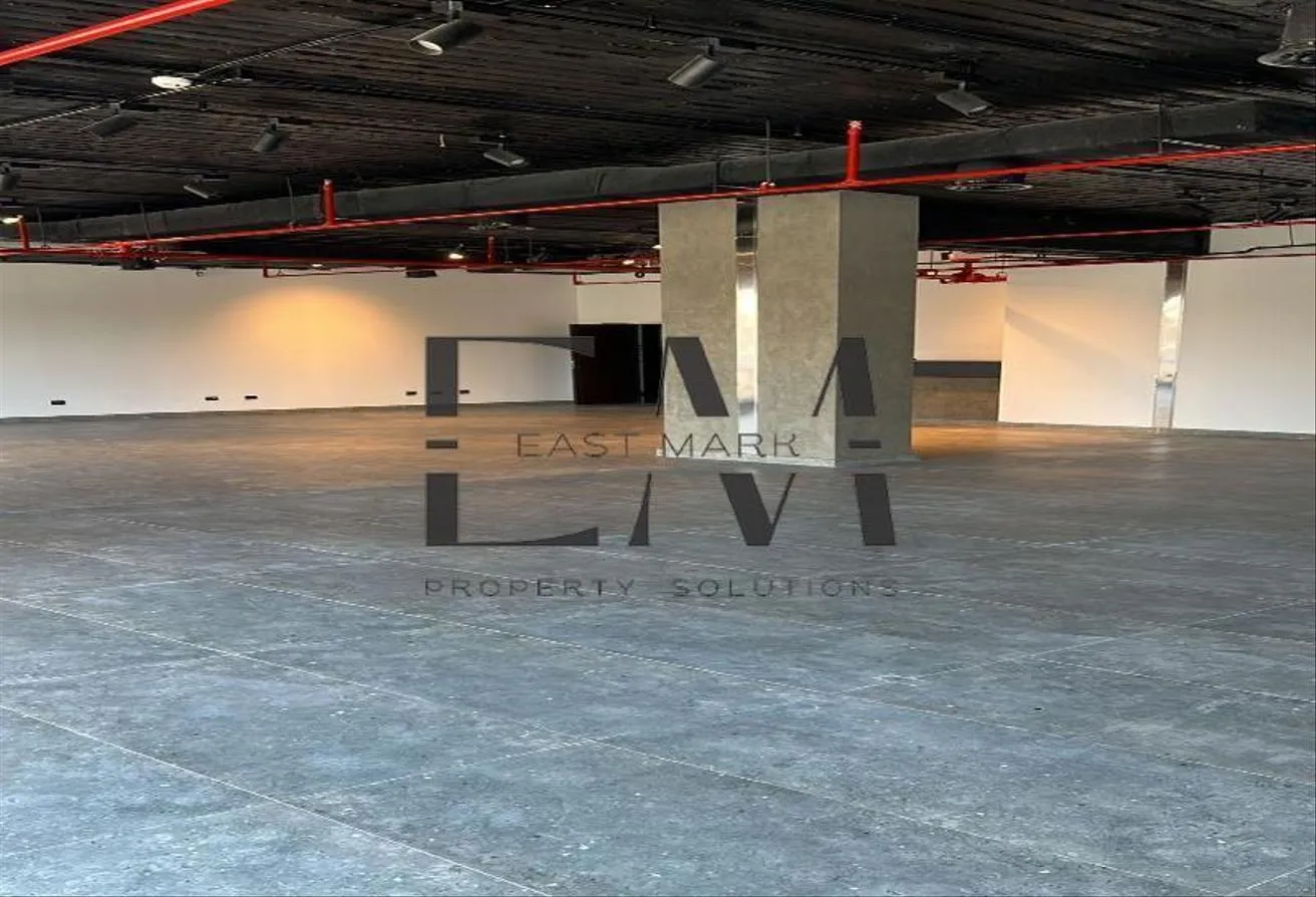Gallery Image 7