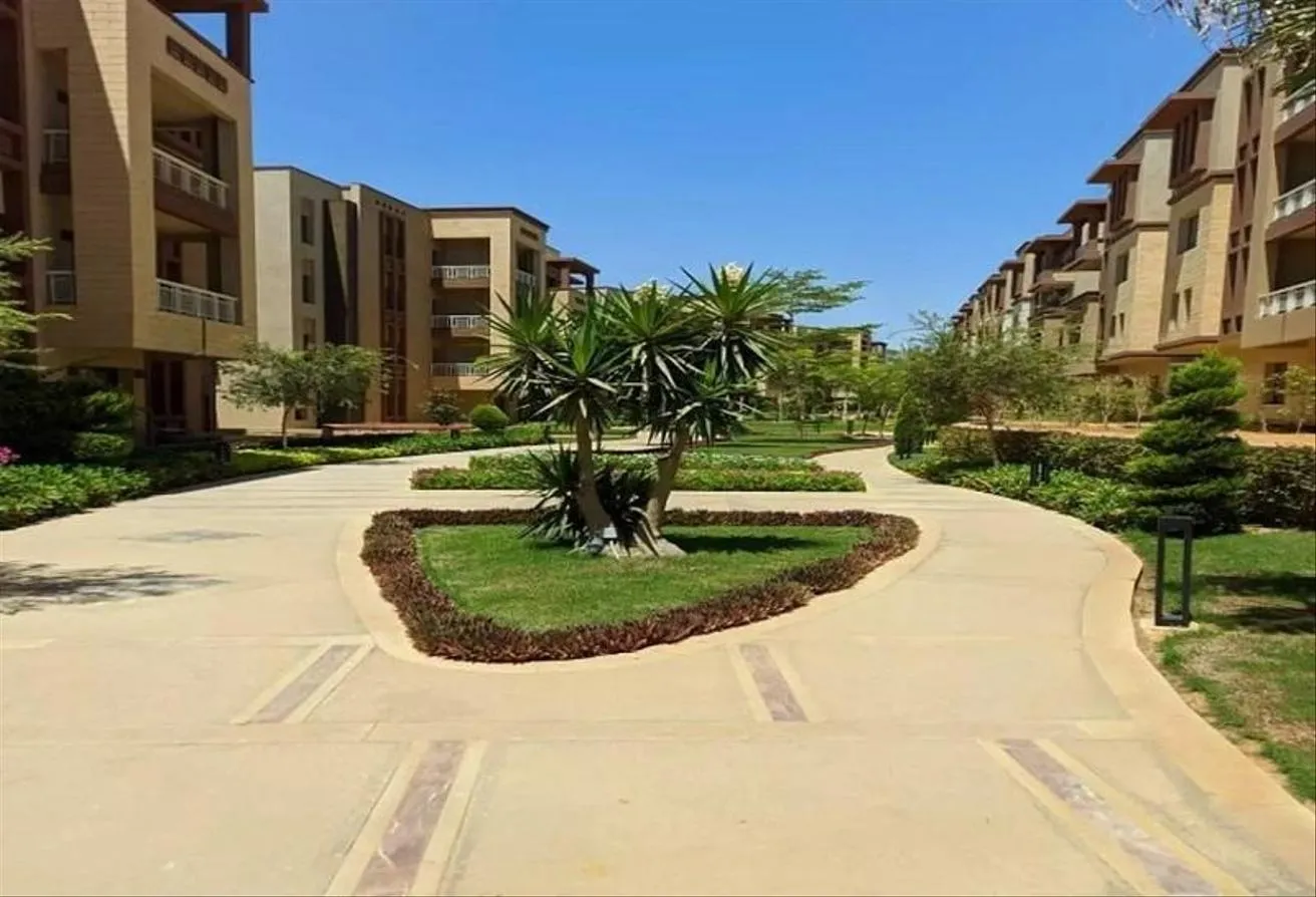 Gallery Image 11