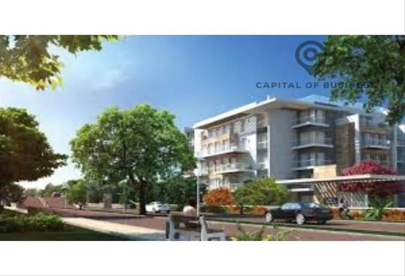 Gallery Image 10