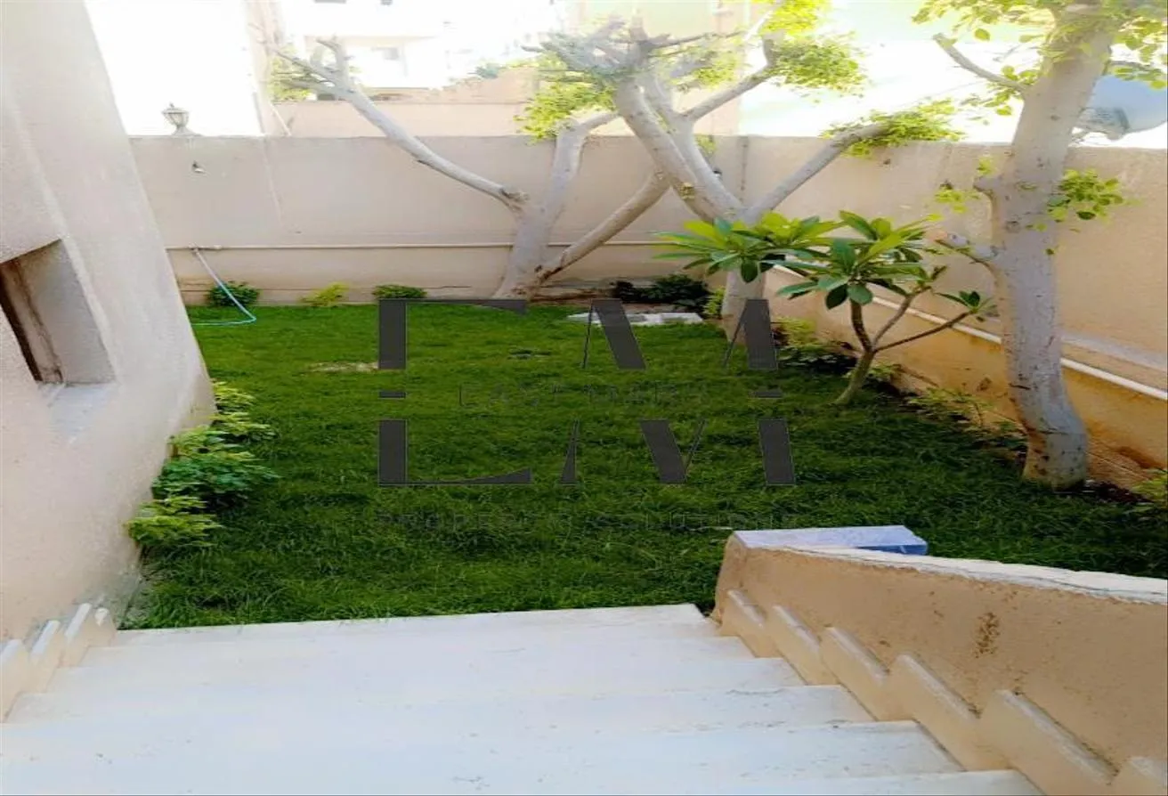 Gallery Image 7