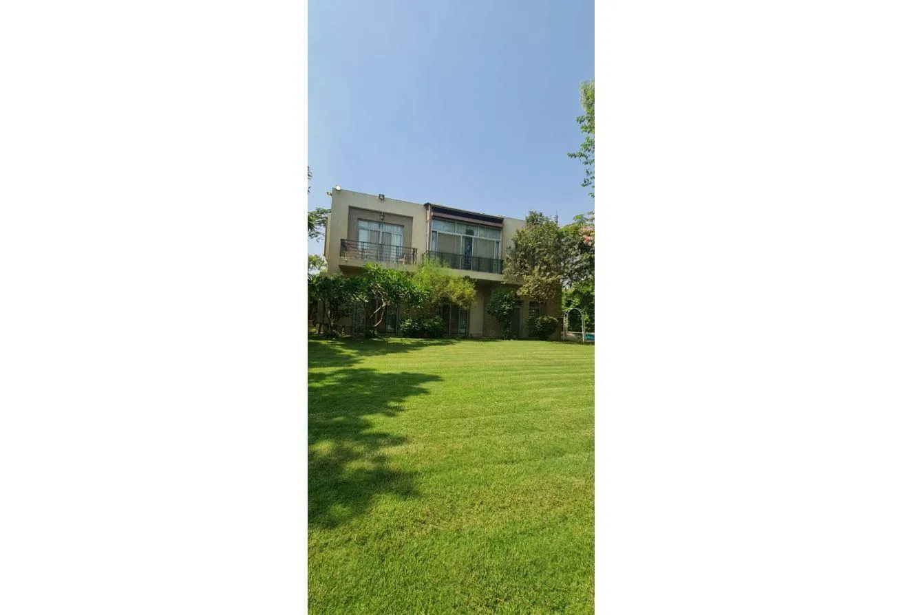 Gallery Image 20