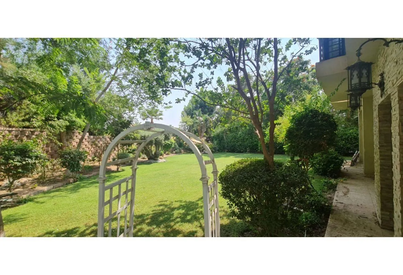 Gallery Image 17