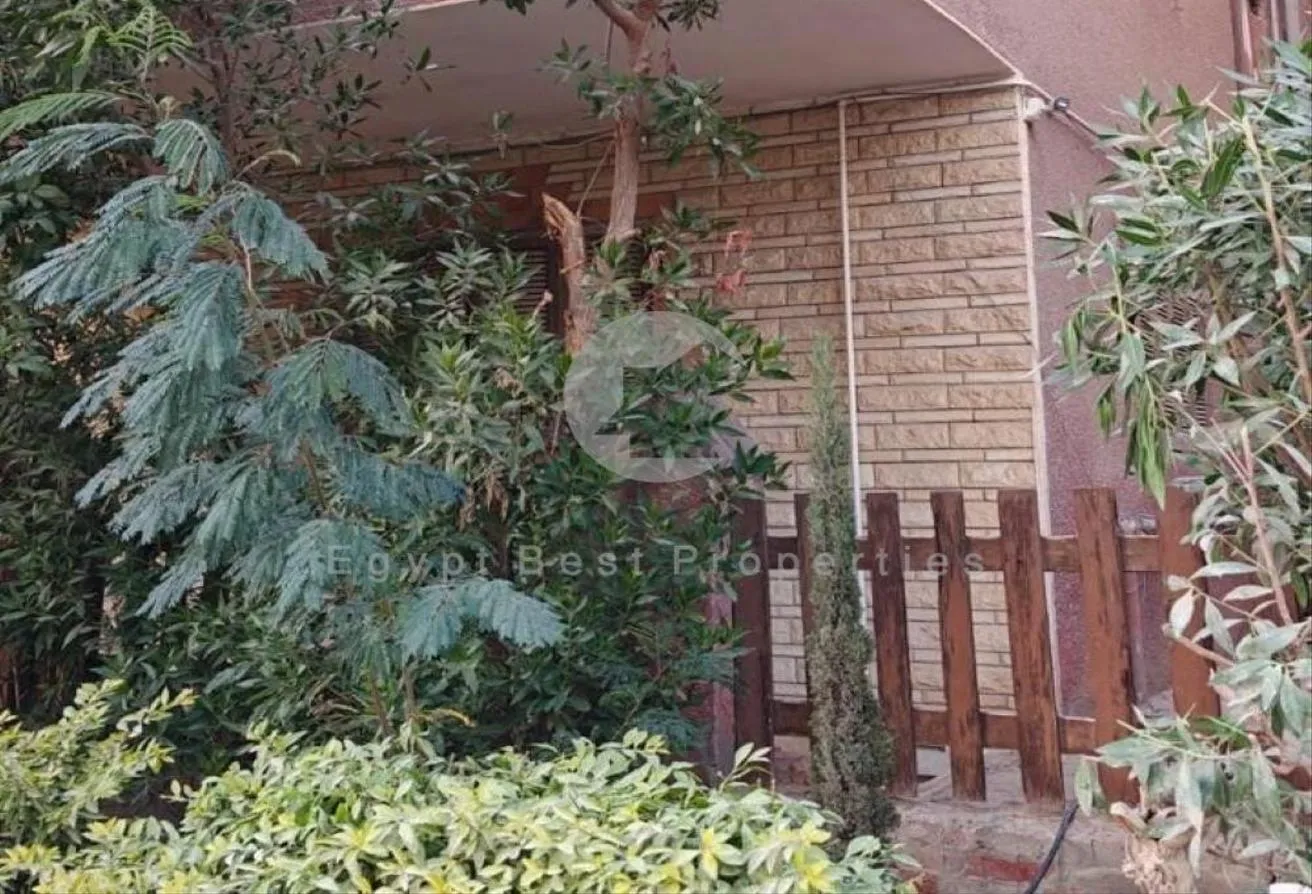 Gallery Image 10