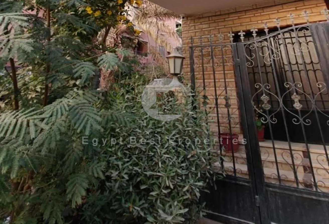 Gallery Image 8