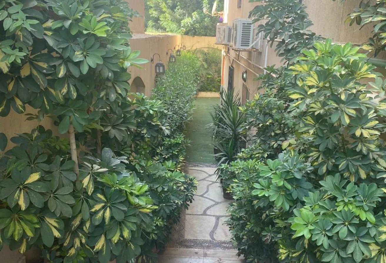 Sale in Al Narges 5: دوبلكس للبيع 420 م  فى القاهرة الجديدة النرجس ٥ 