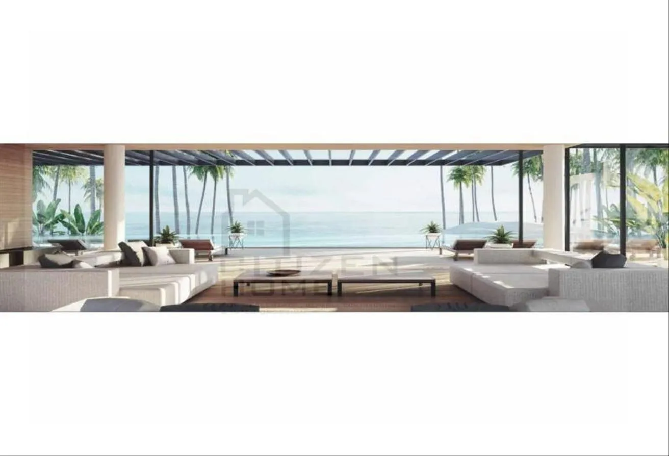 Gallery Image 8