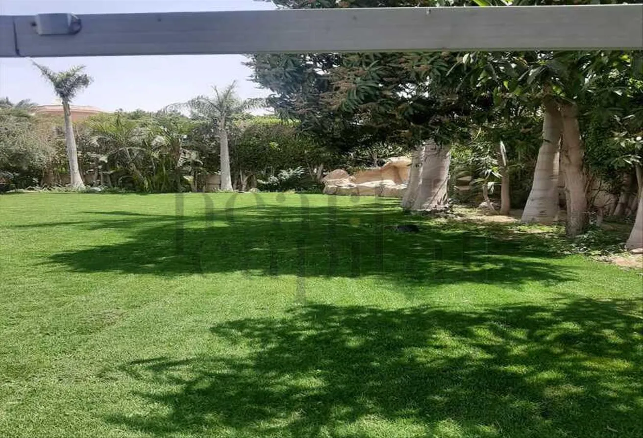 Gallery Image 6