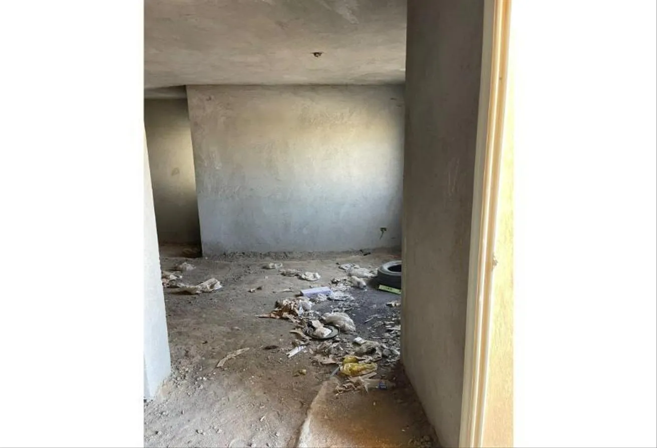Gallery Image 11
