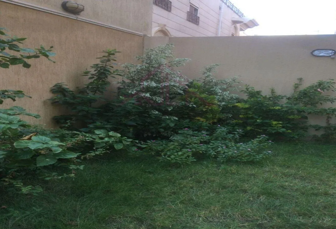 Rent in Fatma Al Sharbatly Mosque: Apartment220m rent in Second District