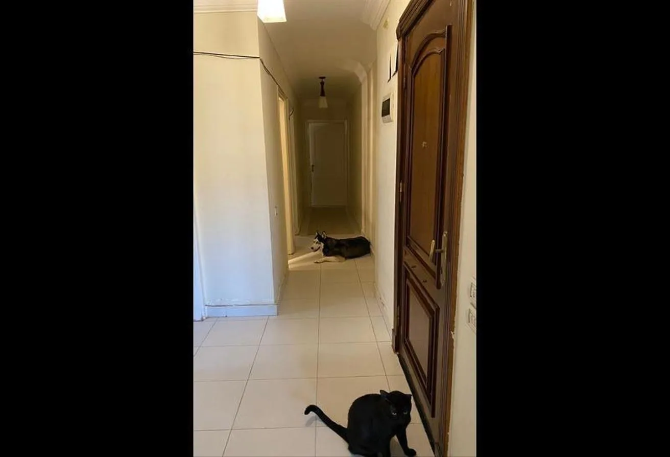 Gallery Image 14
