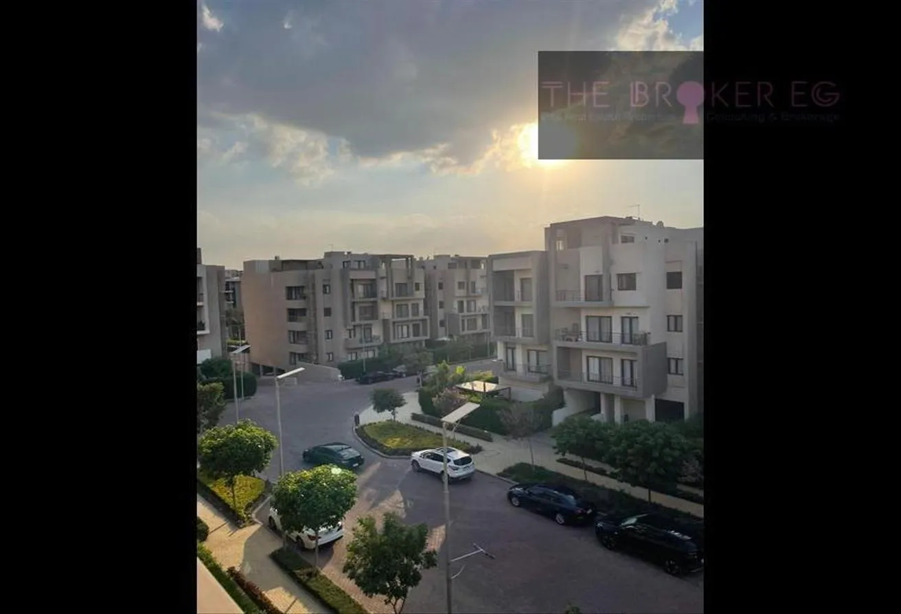 Gallery Image 15