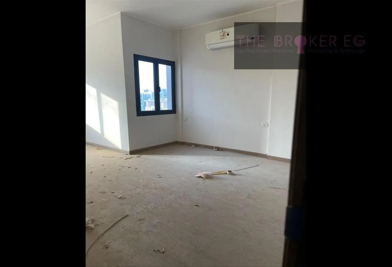 Gallery Image 11