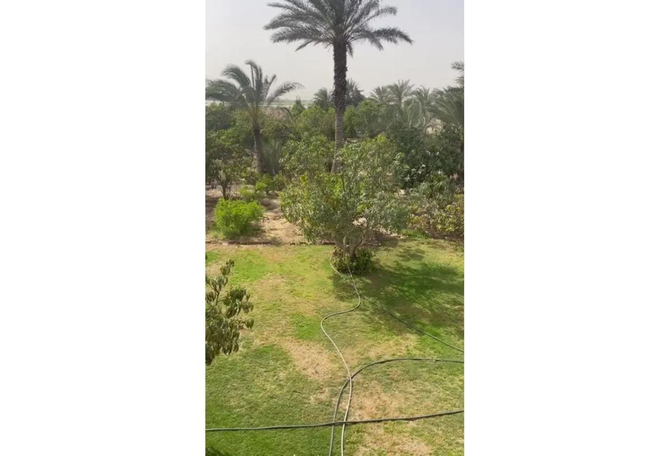 Sale in Cairo Alexandria Desert Road: Farm for sale, 1000 acres, close to the Alexandria