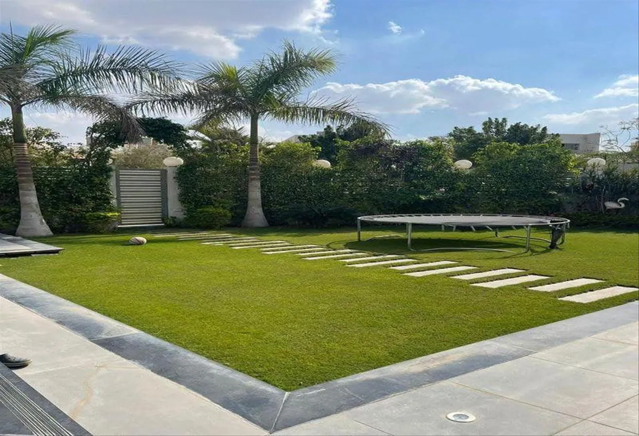Gallery Image 9