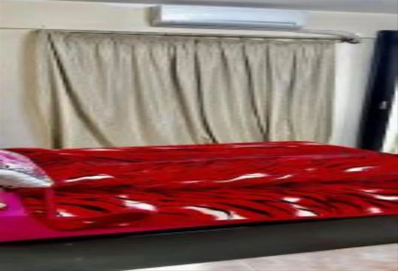 Rent in Al Mostathmir El Saghir: شقه فندقيه مفروشه للايجار فى الشيخ زايد