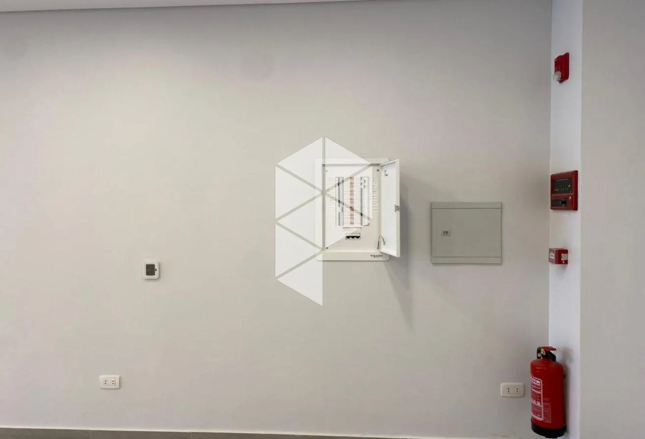 Gallery Image 6