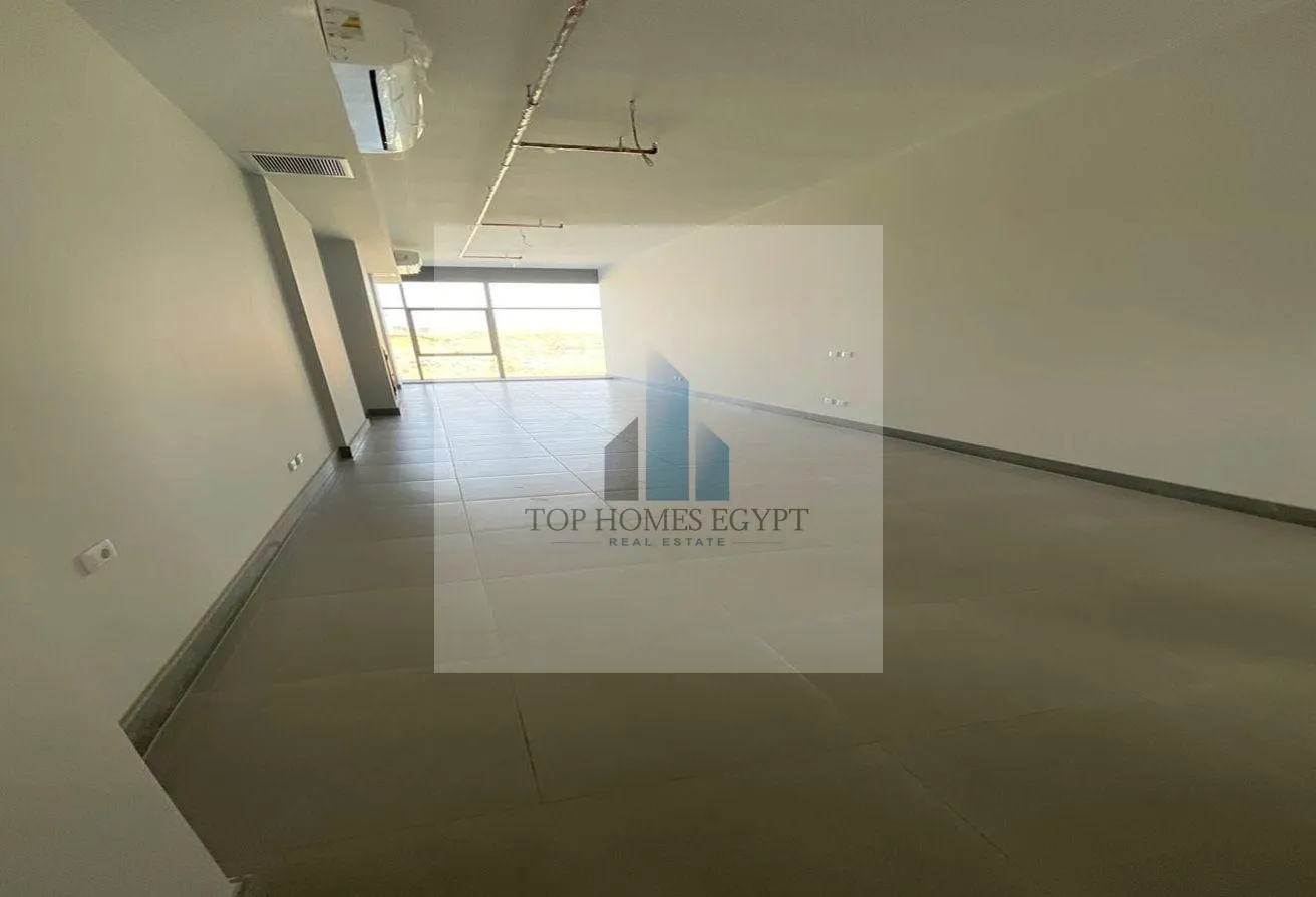 Gallery Image 8