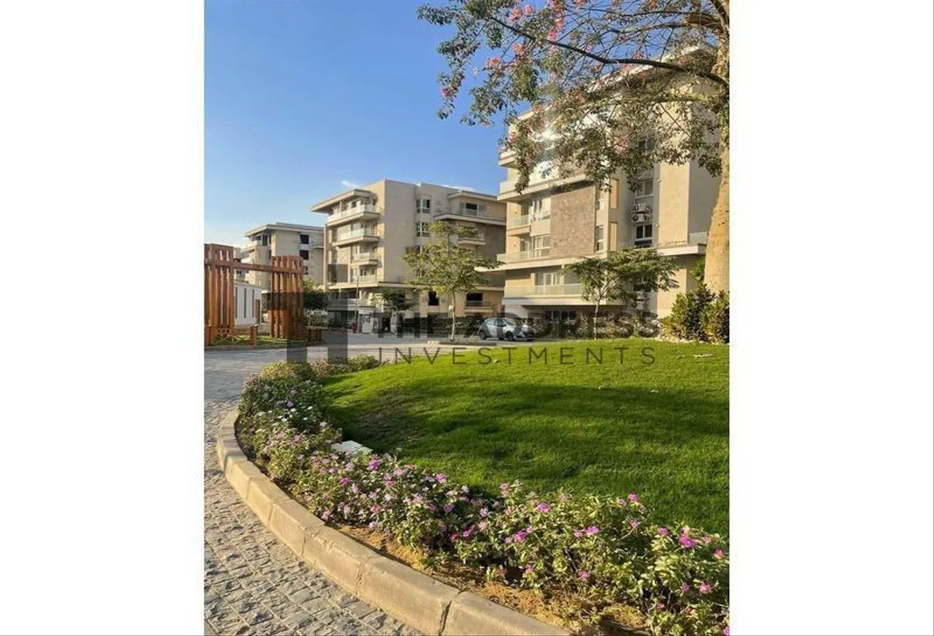 Gallery Image 5